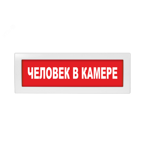 Оповещатель световой с резервным источником питания Молния-220-РИП Человек в камере красный фон Вистл ц131221