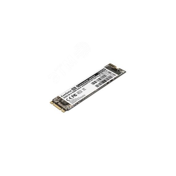 Накопитель SSD M.2 2280 120GB Next A2000TS120 (SATA-III) Exegate EX280467RUS