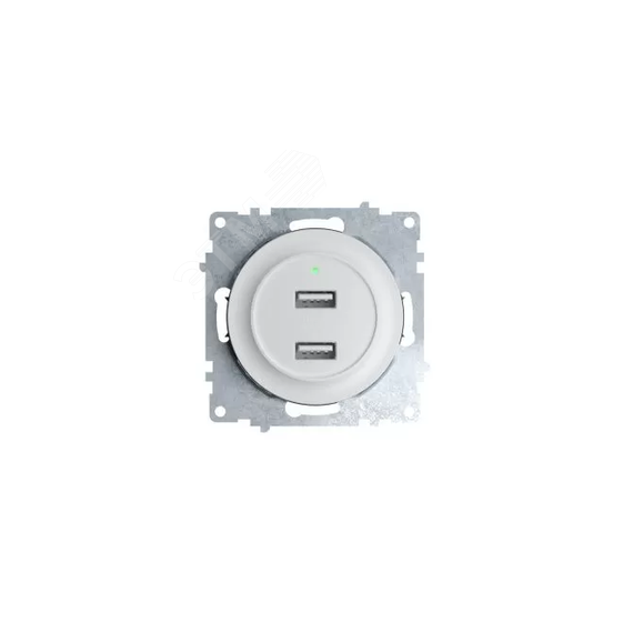 Розетка USB двойная, с подсветкой, цвет белый OneKeyElectro 2260089