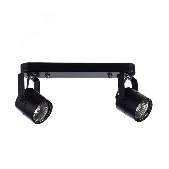 Спот MIZAR Arte Lamp A1311PL-2BK