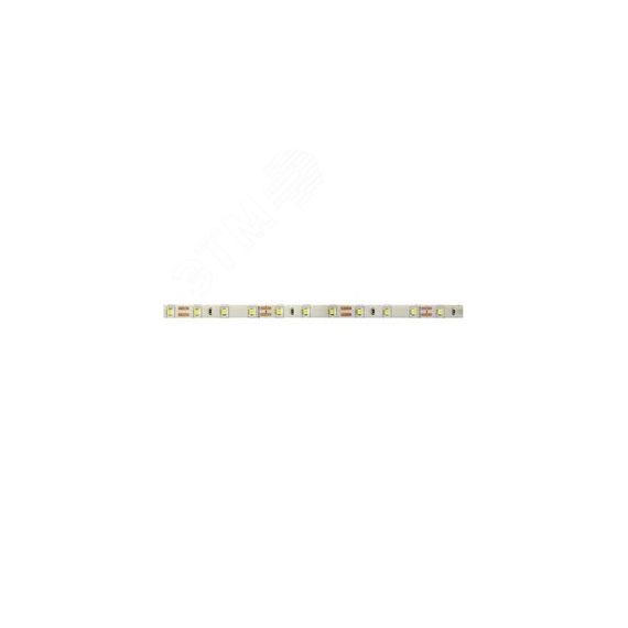 Лента светодиодная PLS PRO 2835/ 60-24V 4000K IP20 -5m Jazzway JazzWay 5015630