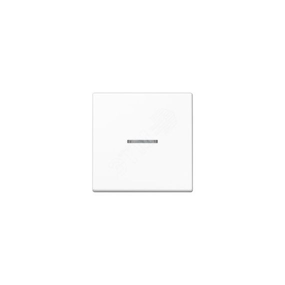 Клавиша 1-я для выключателей и кнопок  с окошком для подсветки. Серия A500  Материал- дуропласт  Цвет- белый JUNG A590BFKO5WW