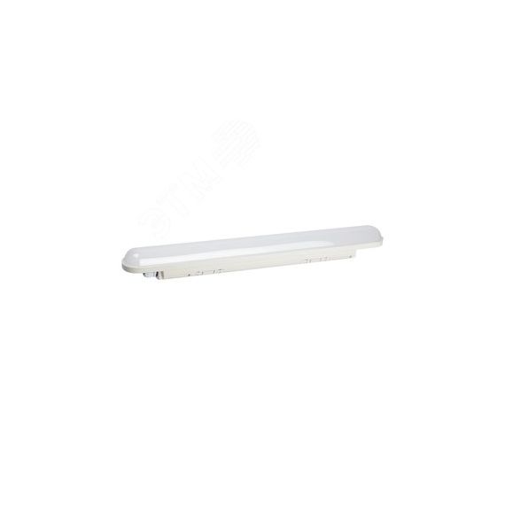 Линейный светодиодный светильник 18Вт 4000К 1710Лм IP65 600мм матовый SPP-201-W-40K-018 ЭРА Б0061759