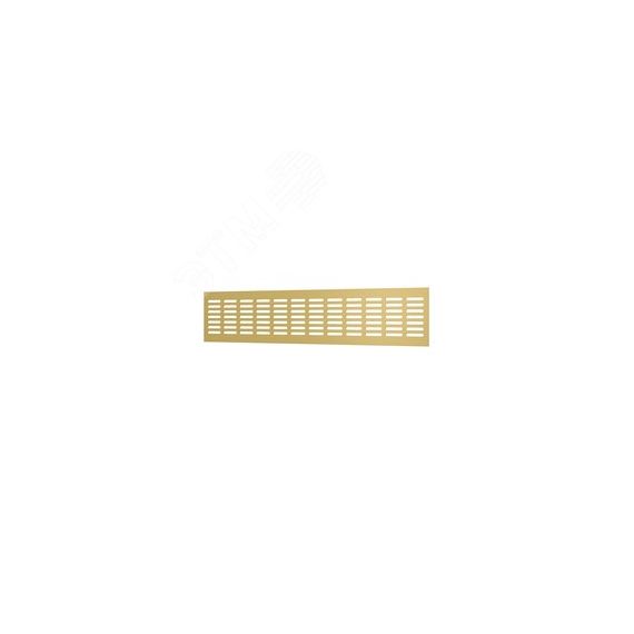 Решетка переточная алюминиевая с анодированным покрытием 480x100, цвет Сhampagne ERA 4810DP Al Сhampagne