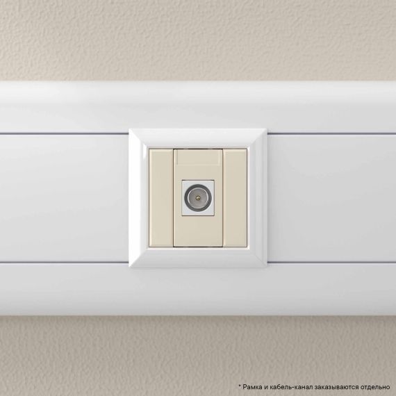 Розетка TV одиночная модульная, "Avanti", "Ванильная дымка", 1 модуль Розетка TV одиночная модульная, "Avanti", "Ванильная дымка", 1 модуль