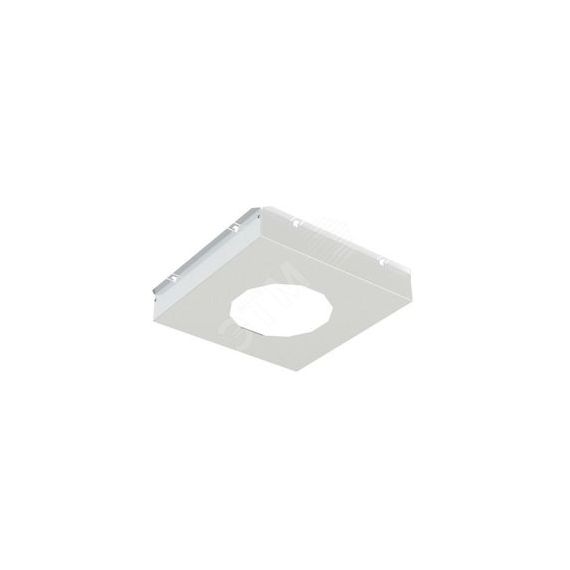 Панель лицевая 400х400 мм для TLDS08 TECHNOLUX 84770