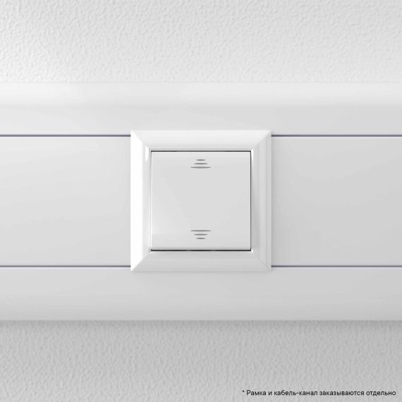 Инвертор одноклавишный модульный, &quot;Avanti&quot;, &quot;Белое облако&quot;, 2 модуля