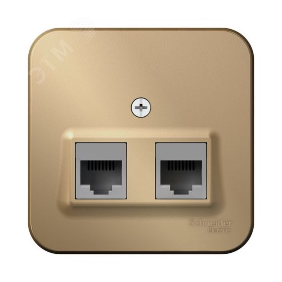 Розетка BLANCA наружная двойная компьютерная RJ45, кат.5e, с изолирующей пластиной, титан SE (Systeme) BLNIA045454