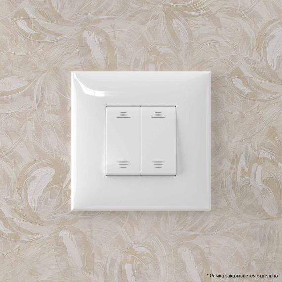 Переключатель двухклавишный в стену, &quot;Avanti&quot;, &quot;Белое облако&quot;