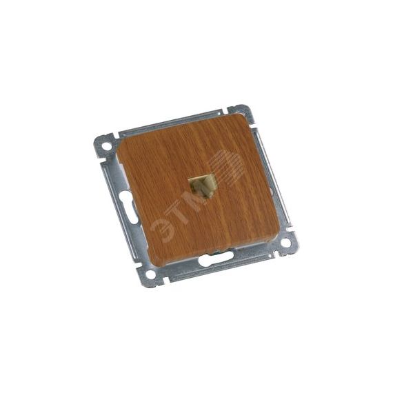 MASTER Розетка компьютерная скрытой установки, в рамку, дуб HEGEL РСК-400-05