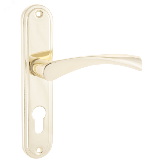 Ручка на планке под замок и цилиндровый механизм (комплект), АЛЛЮР 103-1 55мм GP золото ПТК 1054