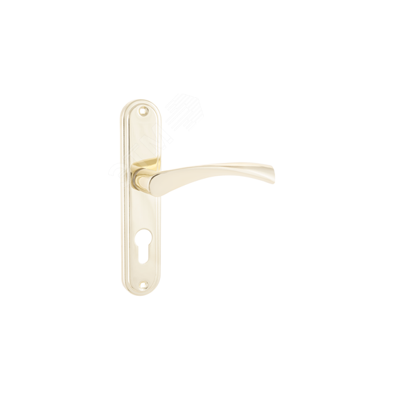 Ручка на планке под замок и цилиндровый механизм (комплект), АЛЛЮР 103-1 55мм GP золото ПТК 1054