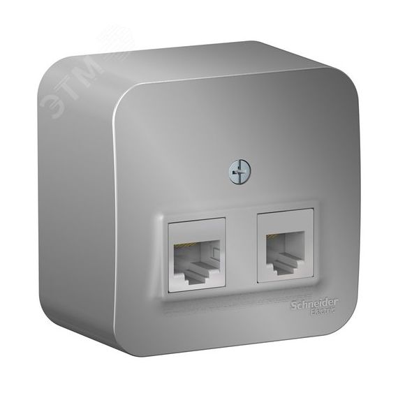 Розетка BLANCA наружная двойная компьютерная RJ45+телефонная RJ11, кат.5e, с изолирующей пластиной, алюминий SE (Systeme) BLNIA045113