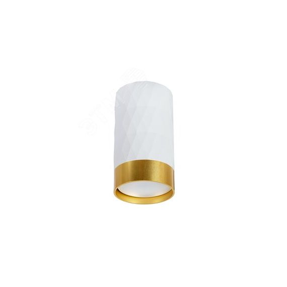 Светильник точечный накладной FANG Arte Lamp A5558PL-1WH