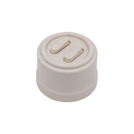 Кнопка (двухклавишная), пластик, цвет Песочное золото Бирони B1-222-24-PB