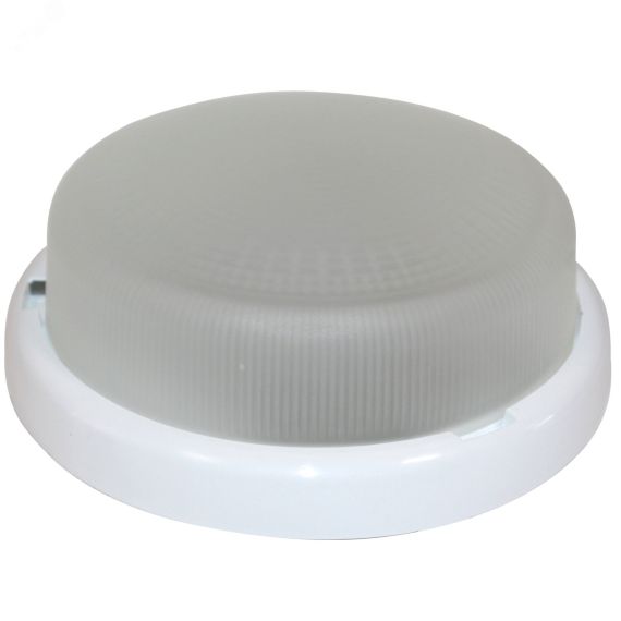 Светильник Раунд 240 LED 23-12-001 (240х94, 12Вт, 6000К) ГУ ЭЛЕТЕХ 1030450281