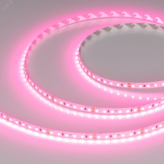Лента RT-A120-8mm 24V Pink (9.6 W/m, IP20, 2835, 5m) (Arlight, -) Arlight 043380