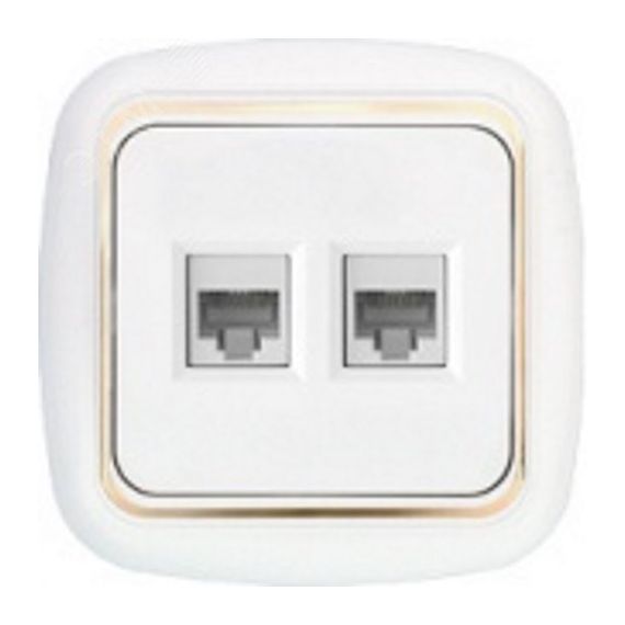 Беларусь розетка компютерная двухместная БелТИЗ РК 216-003