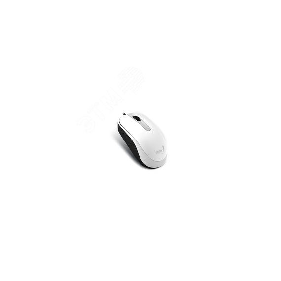 Мышь DX-120 оптическая, USB, белый Genius 31010010401