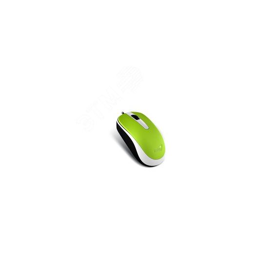 Мышь DX-120 оптическая, USB, зеленый Genius 31010010404