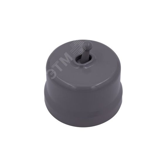 Выключатель Лизетта 1-кл. проходной, пластик, цвет Титан (тумблерный) Бирони B1-231-26