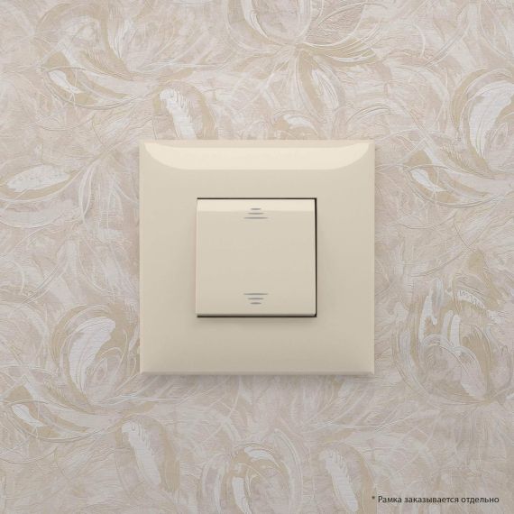 Выключатель одноклавишный в стену, &quot;Avanti&quot;, &quot;Ванильная дымка&quot;
