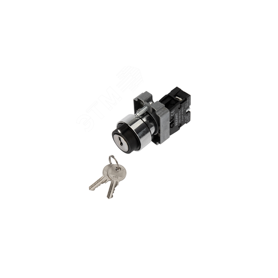 Переключатель BD21 2P с замком NO REXANT 36-5552