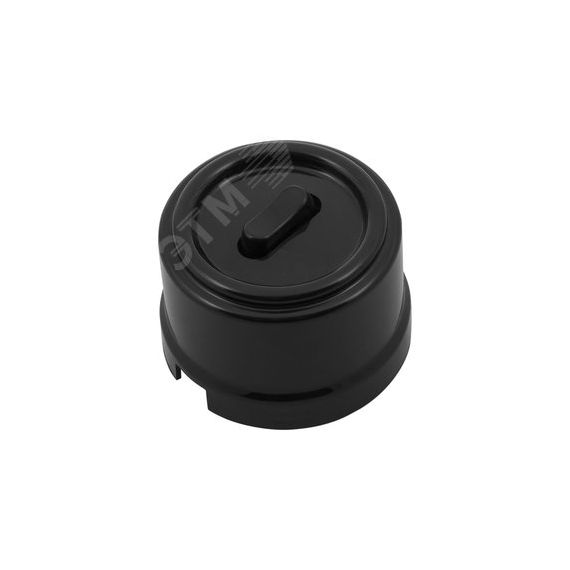 Кнопка (одноклавишная), пластик, цвет Черный Бирони B1-220-23-PB