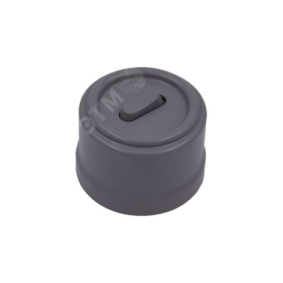 Выключатель Лизетта 1-кл. проходной, пластик, цвет Титан (клавишный) Бирони B1-220-26-PB