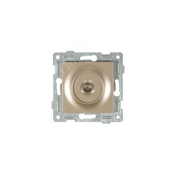 Ugra Розетка антенная, одинарная, скрытая установка.  шампань GUSI Electric С11А1-027
