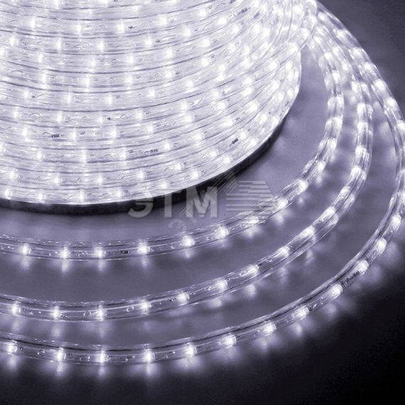 Дюралайт LED, свечение с динамикой 3W - белый Эконом 24 LED/м, 100 м Neon-Night 121-325-4