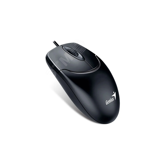 Мышь NetScroll 120 V2 оптическая, USB, черный Genius 31010018400