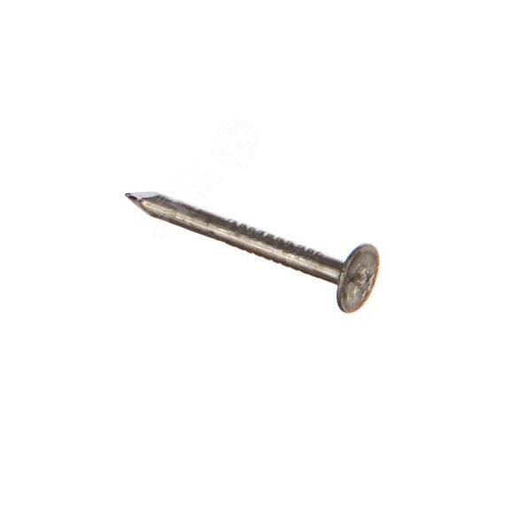 Гвоздь строительный 3.0х70 (1кг) Tech-Krep 101580