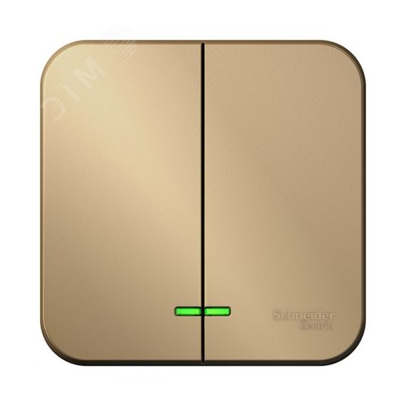 BLANCA  двухклавишный выключатель наружный  (cх.5), 10A, 250B, титан SE (Systeme) BLNVA105004