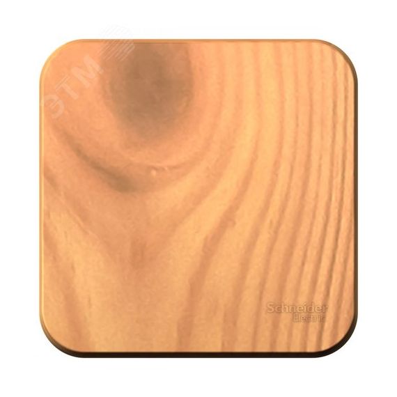 BLANCA  одноклавишный выключатель наружный  (cх.1), 10A, 250B, ясень SE (Systeme) BLNVA101005