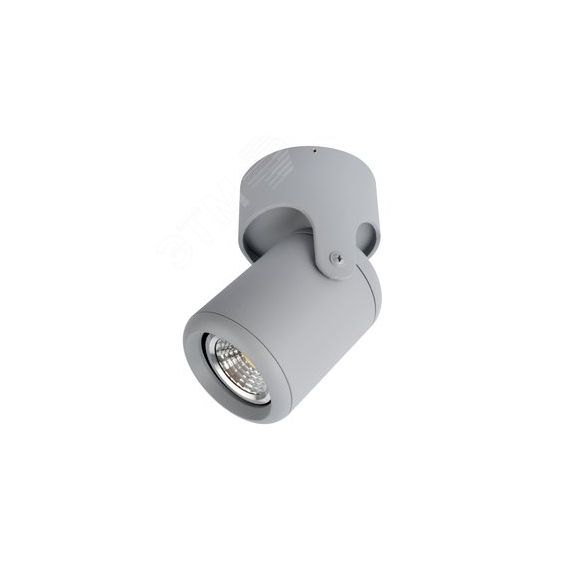 Светильник LIBRA Arte Lamp A3316PL-1GY