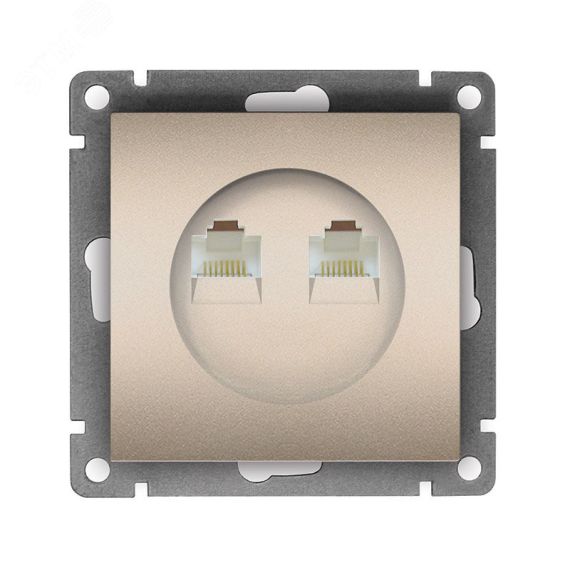 Розетка компьютерная двухместная серия Афина с/у, 1А, RJ45, шампань (еврослот) Универсал A1086-Br