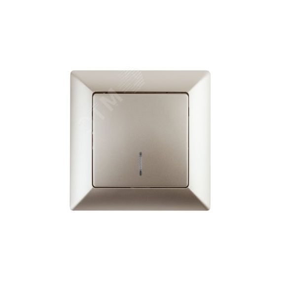 Выключатель Intro Solo 4-102-04 одноклавишный с подсветкой, 10А-250В, IP20, СУ, шампань ЭРА Б0053563
