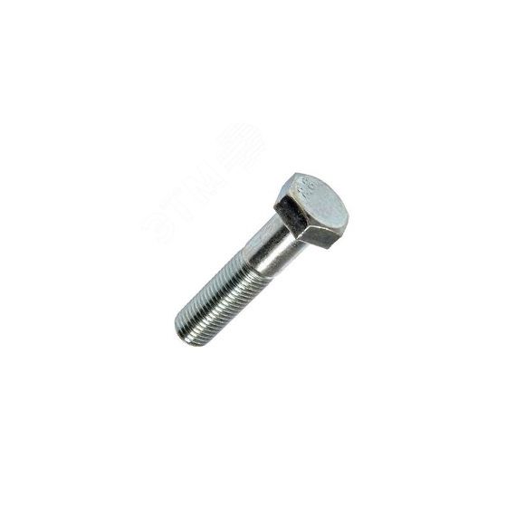 Болт M10-6gх60.58 (S17) ГОСТ 7798-70 с            шестигранной головкой РФ 1671100060