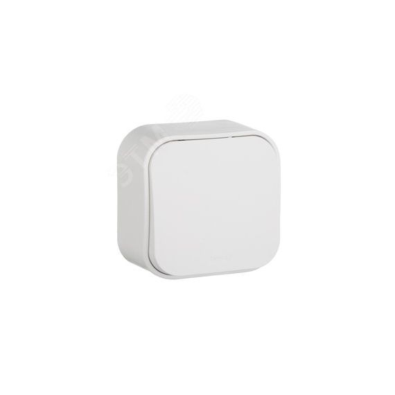 Quteo Переключатель одноклавишный наружный белый 10А Daccord/Legrand 782204