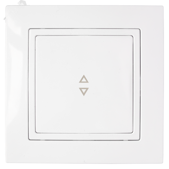 Беларусь Выключатель одноклавишный скрытый на 2 направления БелТИЗ C6 10-863