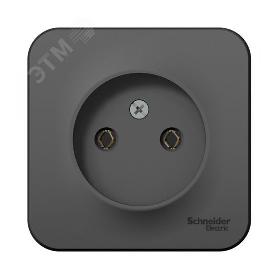 BLANCA Розетка наружная без заземления без шторок с изолирующей пластиной, 16А, 250В, антрацит SE (Systeme) BLNRA000116
