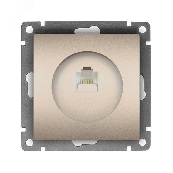 Розетка компьютерная одноместная серия Афина, с/у, 1А, RJ45, шампань (еврослот) Универсал A0051-Br