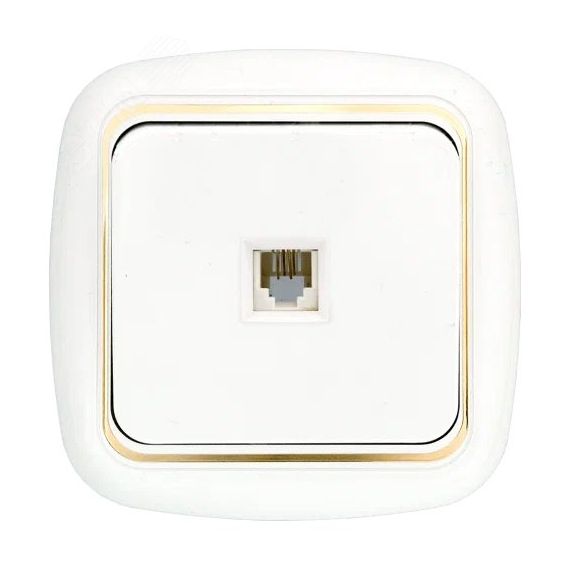 Беларусь Розетка телефонная скрытая ТР4-023 БелТИЗ TP4-023 зол