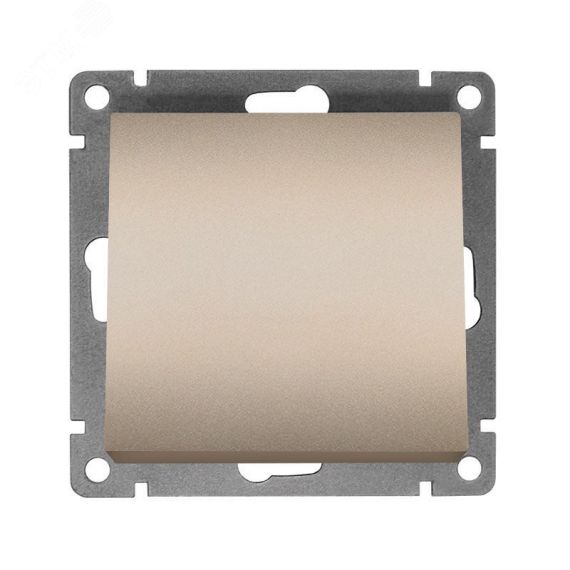 Выключатель одноклавишный серия Афина, с/у, 10А, 220В, шампань (еврослот) Универсал A0021-Br