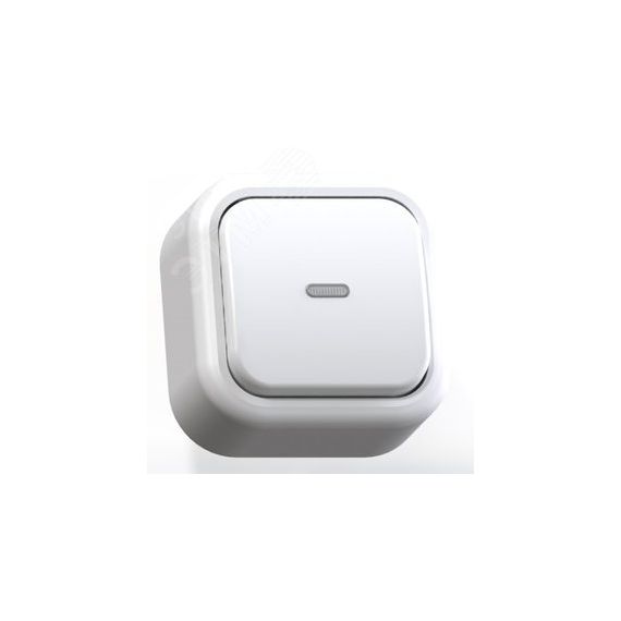 Валентина Выключатель открытой установки          одноклавишный с подсвет, А16-054 Кунцево 7632