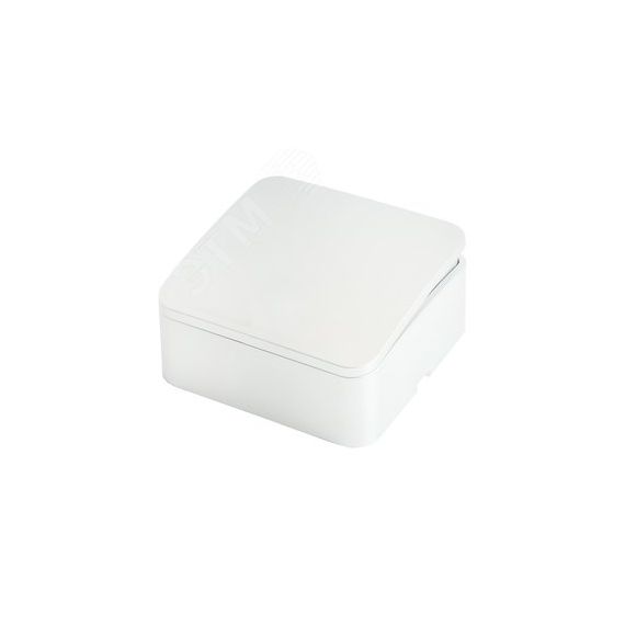 Выключатель 1-клавишный 250В 10А серия София белый STEKKER STEKKER MSW10-10-01 49287