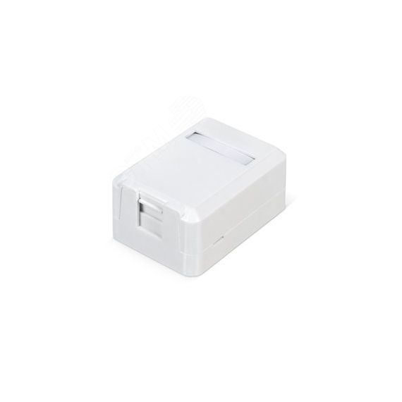 Корпус настенной розетки для установки 1-ой вставки типа Keystone Jack цвет белый WRline WRline WR-MB-1