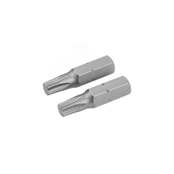 Набор вставок (бит) торцевых 1/4'', Torx, T30, 25 мм, 2 предмета Tolsen TT20226
