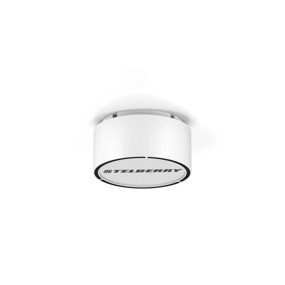 Громкоговоритель Stelberry F-310W белый           потолочно-настенный на 10 Ватт. STELBERRY Stelberry F-310W